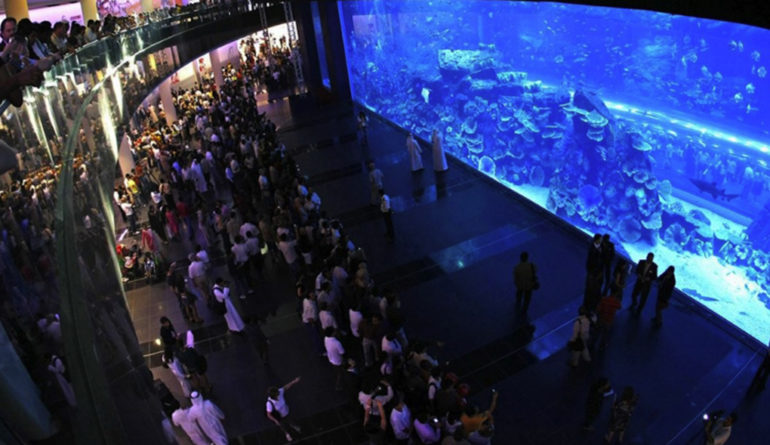 Dubai Mall Aquarium